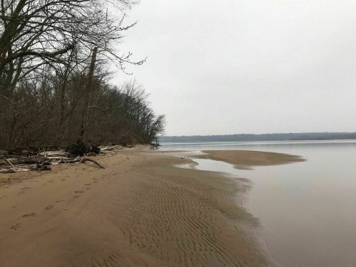A tranquil riverbank scene with sandy shore, sparse trees, and a calm water surface under a cloudy sky.