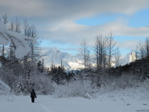 A person walks through a snowy landscape, surrounded by trees and mountains under a partly cloudy sky.