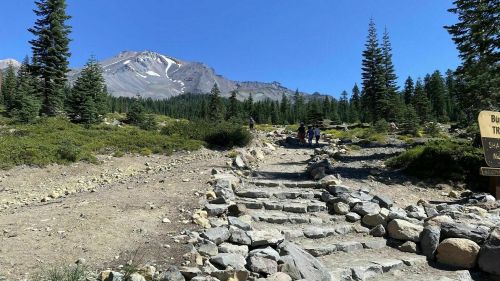 A rocky trail leads through a forested area with a mountain in the background under a clear blue sky.