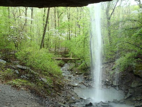 A serene waterfall cascades down rocky terrain, surrounded by lush green trees and blooming flowers in a tranquil forest.