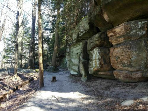 A rocky cliffside surrounded by trees in a forested area, with a sandy path leading through the scene.