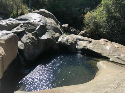 A serene natural pool surrounded by smooth rocks and lush greenery under bright sunlight.