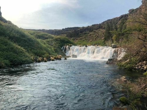 A serene river flows past a waterfall, surrounded by lush greenery and rocky cliffs under a clear sky.