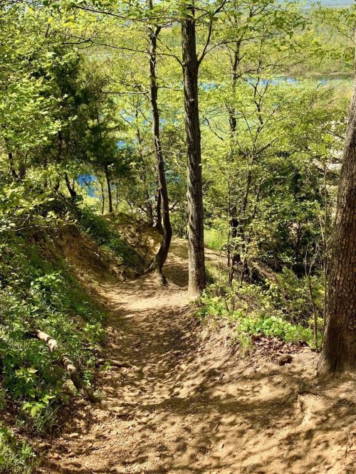 A winding dirt path through lush green trees, leading towards a serene body of water in the background.