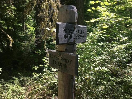 Wooden signpost in a forest directing to Proxy Falls and Lower Proxy Falls, surrounded by lush greenery.