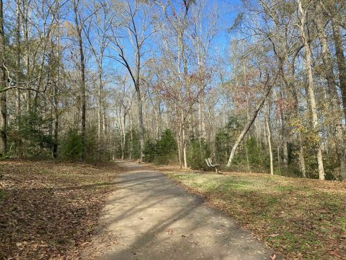 A winding path through a wooded area with bare trees and scattered leaves, leading to a bench in the distance.