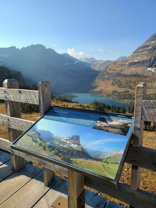 A scenic view of mountains and a lake, with an informational sign about the forest in the foreground.