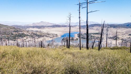 A scenic view of a lake surrounded by mountains, with charred trees and green vegetation in the foreground.