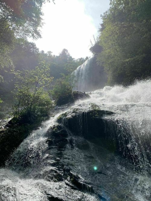 A cascading waterfall surrounded by lush greenery, with sunlight filtering through the mist.
