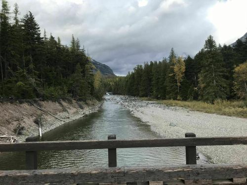 A serene river flows through a forested landscape, flanked by trees and rocky banks under a cloudy sky.