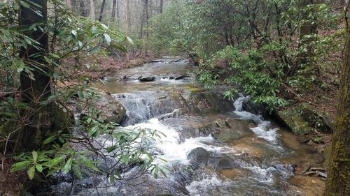 The Tobacco Pouch Trail In Georgia Is A Hike Worth Exploring
