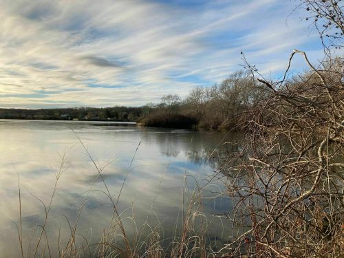 A serene lake scene with calm water, reflecting clouds and trees, framed by bare branches and tall grasses.