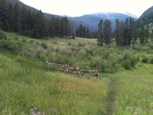 A wooden fence in a lush green meadow surrounded by trees and mountains under a cloudy sky.