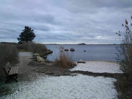 A serene lakeside scene with a bench, rocks, and tall grasses under a cloudy sky.