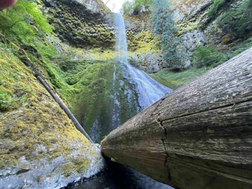 A serene waterfall cascades down a moss-covered cliff, with a large log in the foreground and lush greenery surrounding it.