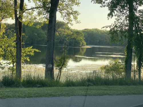 A serene lake surrounded by trees, reflecting the morning light, with calm water and lush greenery.