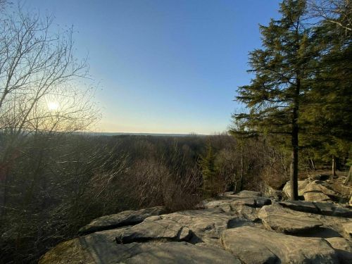 A rocky outcrop with sparse trees overlooks a vast landscape under a clear blue sky at sunset.