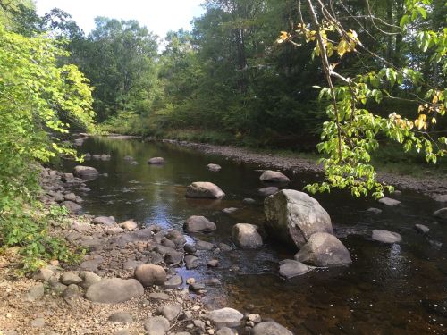 A serene river scene with smooth stones, surrounded by lush greenery and trees under a clear blue sky.