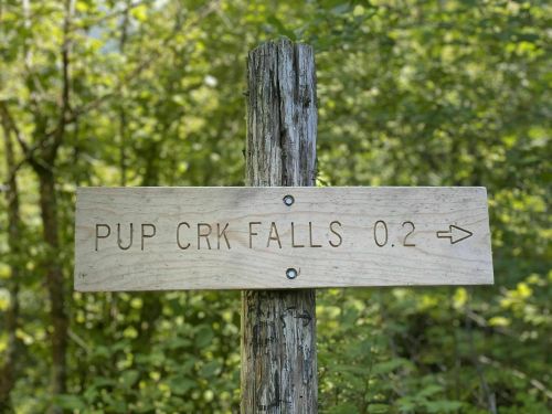 Wooden signpost indicating "Pup Crk Falls 0.2" with an arrow pointing to the right, surrounded by greenery.