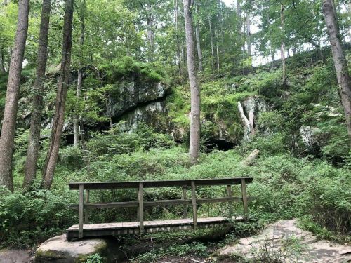 A wooden bridge in a lush forest, surrounded by tall trees and rocky cliffs.