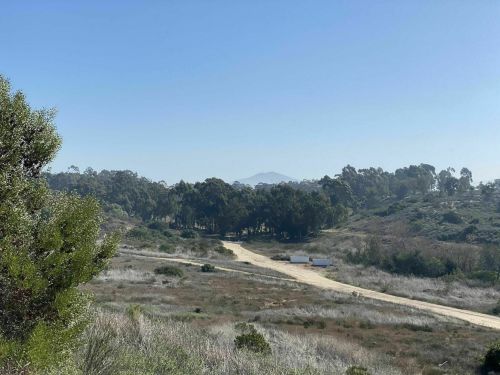 A scenic view of a dirt path winding through green hills and trees under a clear blue sky.
