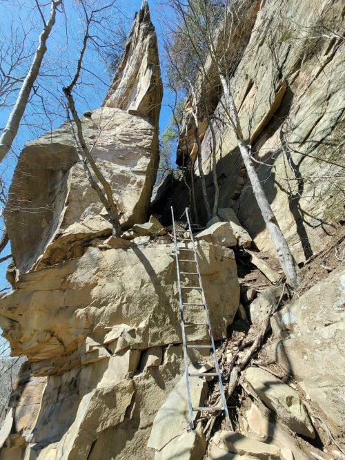 A metal ladder leans against a rocky cliff with trees and blue sky in the background.