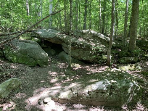 A rocky area in a lush green forest, with large boulders and trees surrounding a dirt path.