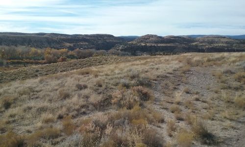 A wide view of a dry, grassy landscape with rolling hills and sparse vegetation under a clear sky.