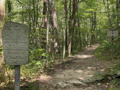 A dirt trail winds through a lush green forest, marked by a sign for Blood Mountain Wilderness.