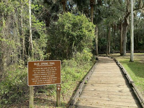 A wooden boardwalk leads through lush greenery, with a sign for the Blue Spring Trail visible nearby.