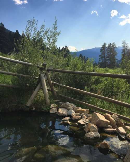 A serene landscape featuring a wooden fence by a calm pond, surrounded by lush greenery and distant mountains.