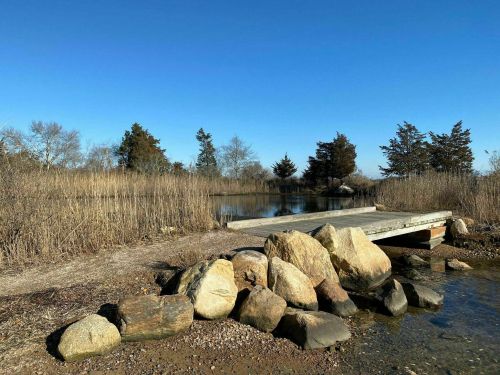 A wooden dock extends over calm water, surrounded by tall grasses and trees under a clear blue sky.