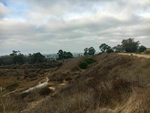 A scenic view of a hilly landscape with dry grass, trees, and a cloudy sky in the background.