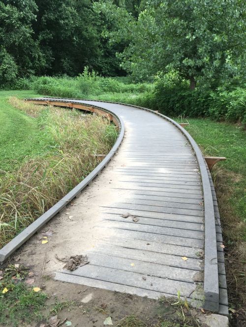 A curved wooden pathway through a lush green landscape, surrounded by grass and trees.