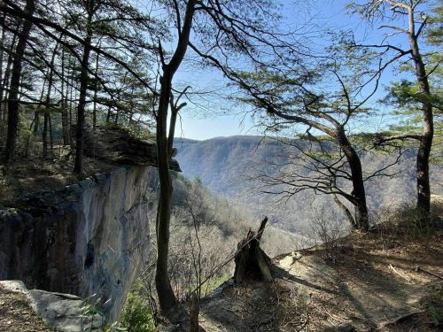 A scenic view of a rocky cliff surrounded by trees, overlooking a valley with distant mountains under a clear blue sky.