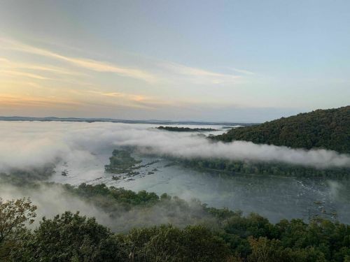 A serene landscape featuring a river surrounded by fog and lush greenery under a soft sunset sky.