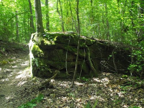 A moss-covered rock formation surrounded by lush green trees in a forested area. A dirt path runs nearby.