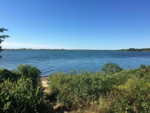A serene view of a calm lake surrounded by greenery under a clear blue sky.