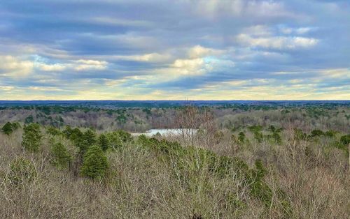 A panoramic view of a forested landscape with a lake, under a cloudy sky.