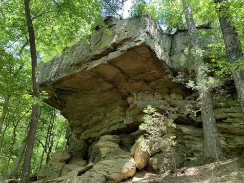 A large, flat-topped rock formation surrounded by lush green trees in a forested area.