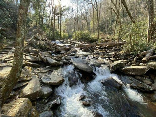 A serene stream flows over rocks, surrounded by trees and greenery in a peaceful natural setting.