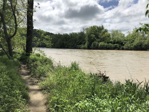 A serene riverbank scene with a winding path, lush greenery, and cloudy skies reflecting over the water.