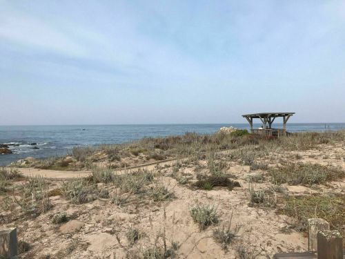 A coastal scene featuring sandy terrain, sparse vegetation, and a wooden gazebo overlooking the calm ocean.