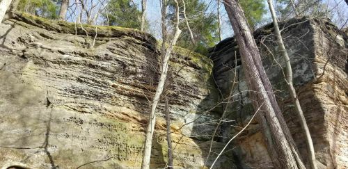 Rocky cliff face with layered textures, surrounded by tall trees and a clear blue sky.