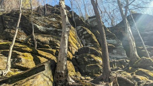 A rocky cliffside covered in moss, with bare trees in the foreground and a clear blue sky above.