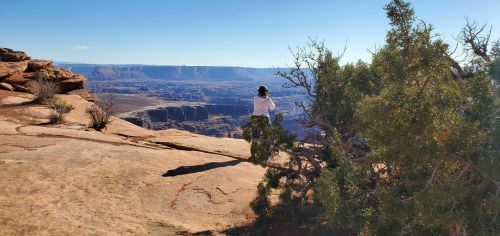 A person stands on a rocky ledge overlooking a vast canyon landscape, with sparse vegetation nearby.