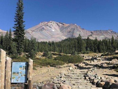 A scenic view of a mountain with a clear blue sky, surrounded by tall trees and a trail leading to a sign.