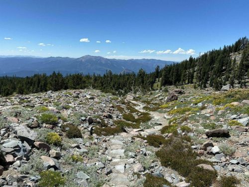 A rocky landscape with scattered greenery, mountains in the distance, and a clear blue sky.