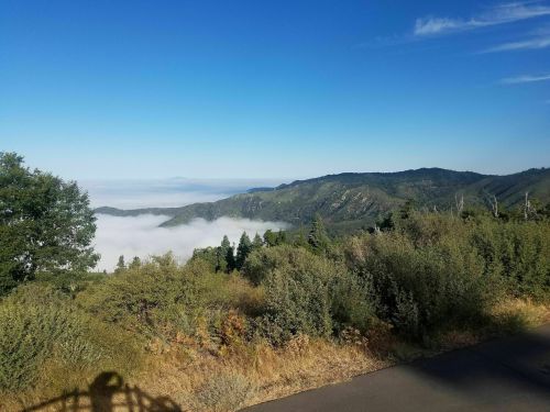 A scenic view of mountains covered in fog, with clear blue skies above and lush greenery in the foreground.