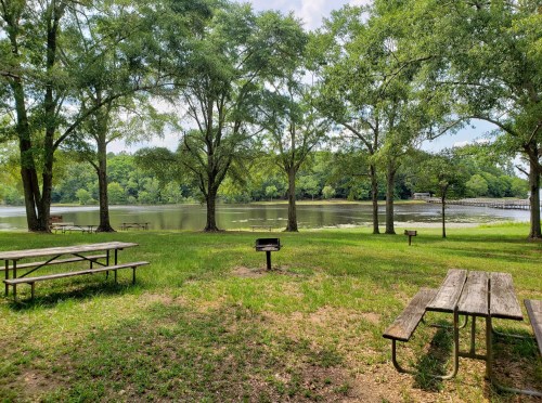 A serene park scene with picnic tables, a grill, and a calm lake surrounded by lush green trees.